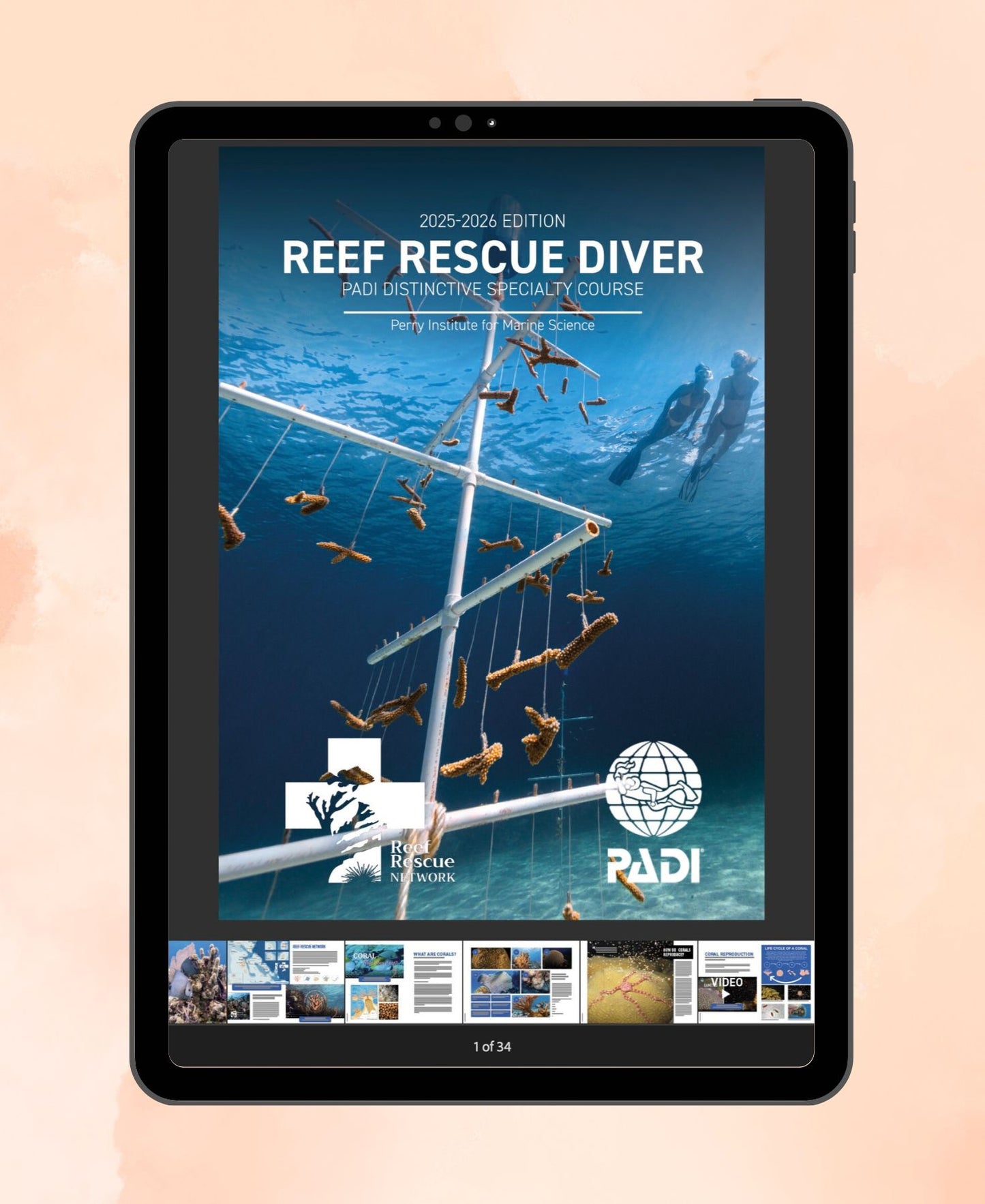 Reef Rescue Diver Course | Coral Restoration Abroad