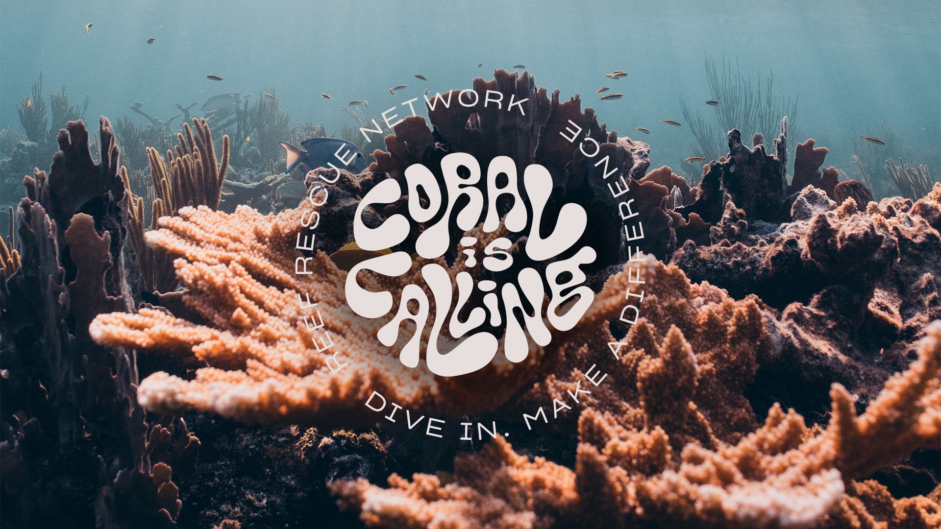 About Page – Reef Rescue Network Store