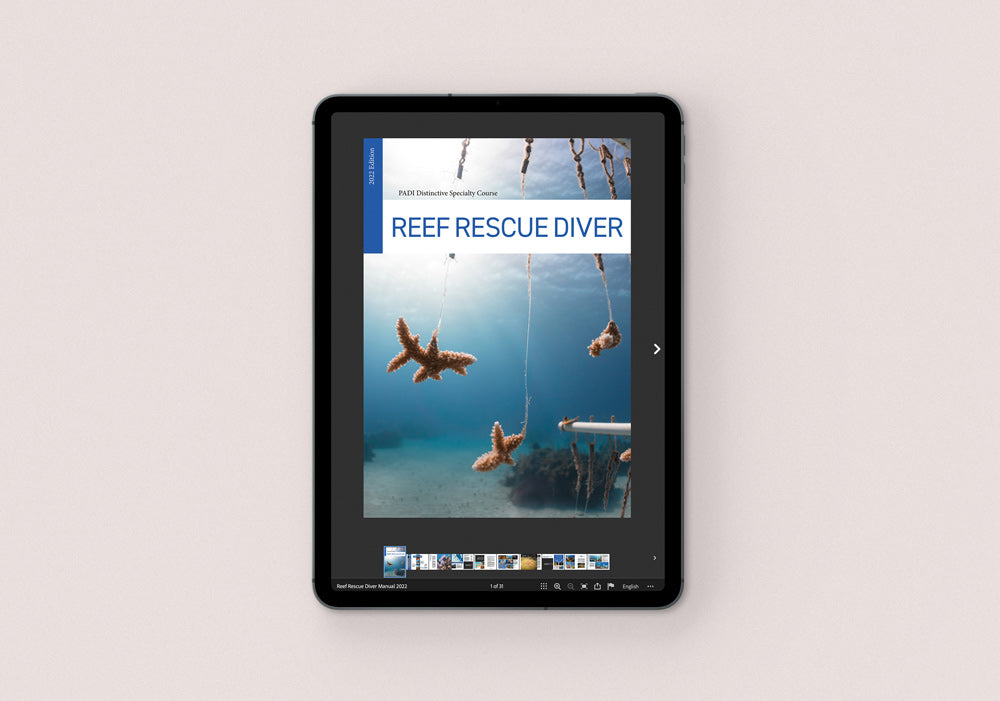Become a PADI Reef Rescue Diver