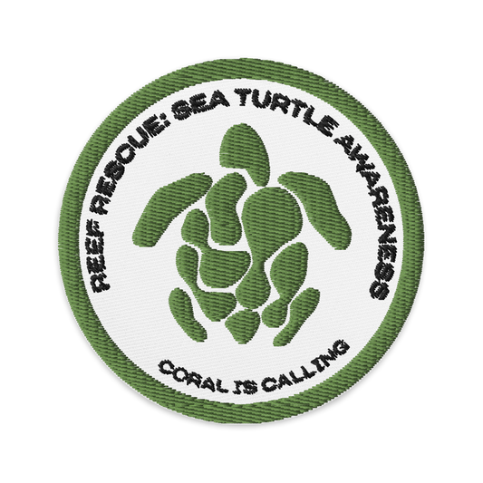 Sea Turtle Experience Patch