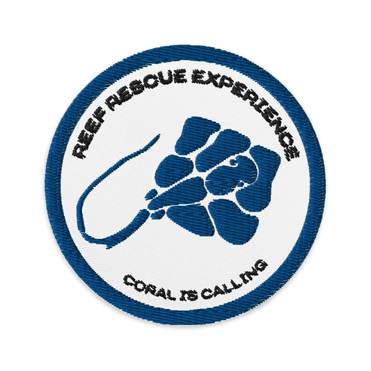 Dive Experience Patch