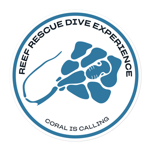 Dive Experience Sticker