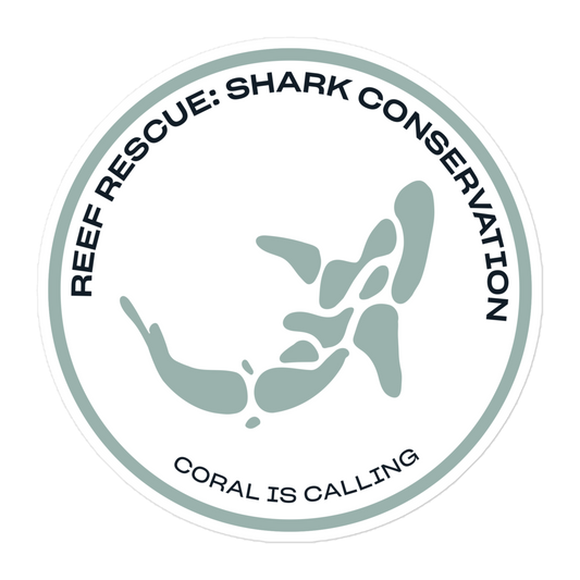 Shark Conservation Experience Sticker