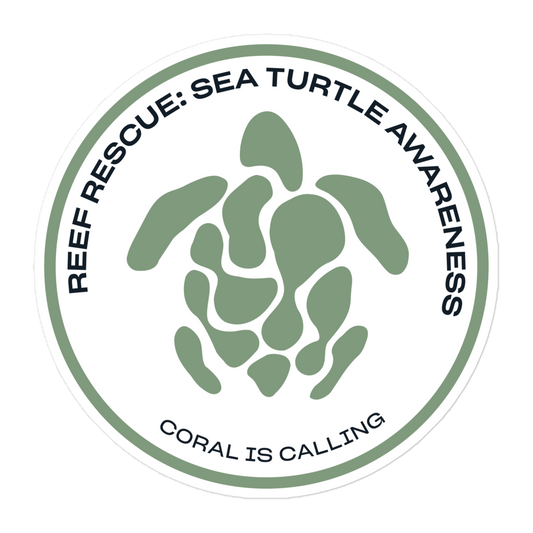 Sea Turtle Experience Sticker