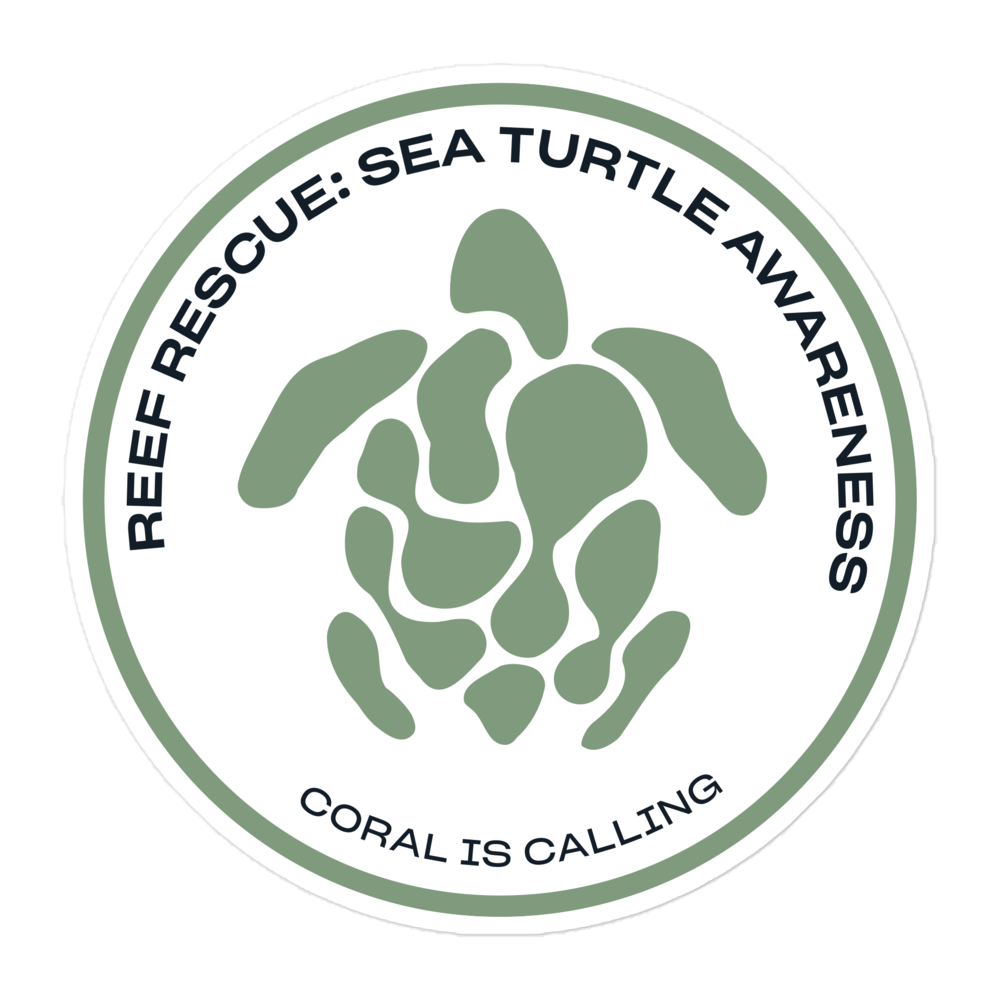 Sea Turtle Experience Sticker